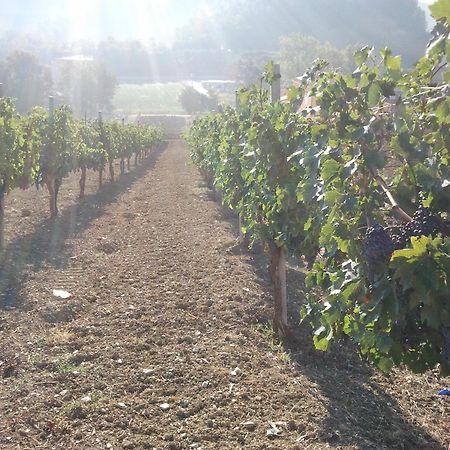 Agriturismo San Vito Crocemaroggia Екстер'єр фото